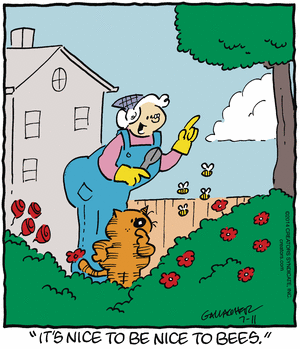 heathcliff